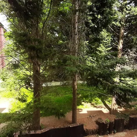 Apartment Gockel Homes 1 - Zentral Mit Balkon & Netflix